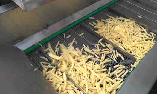 Línea de papas fritas completament automática enviada a Argentina