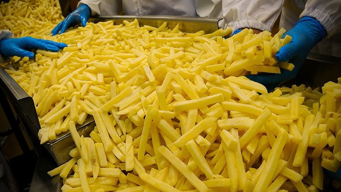 Cómo Iniciar con Éxito un Negocio de Papas Fritas en Colombia: Utilizando una Línea de Producción Eficiente