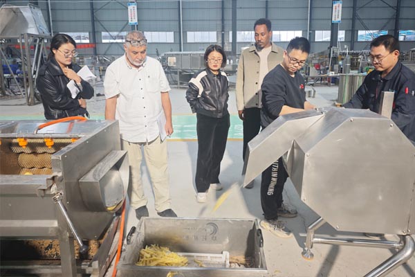 La historia de William: trabajar con un cliente libio para construir una línea de producción de papas fritas de 500 kg